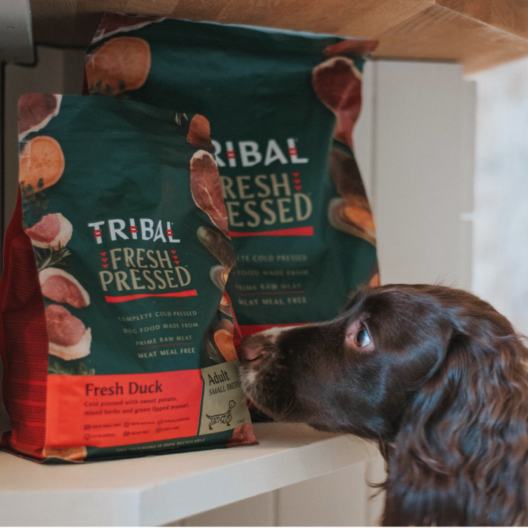 TRIBAL DOG FOOD トライバルドッグフード コールドプレス製法のドッグフード TRIBAL