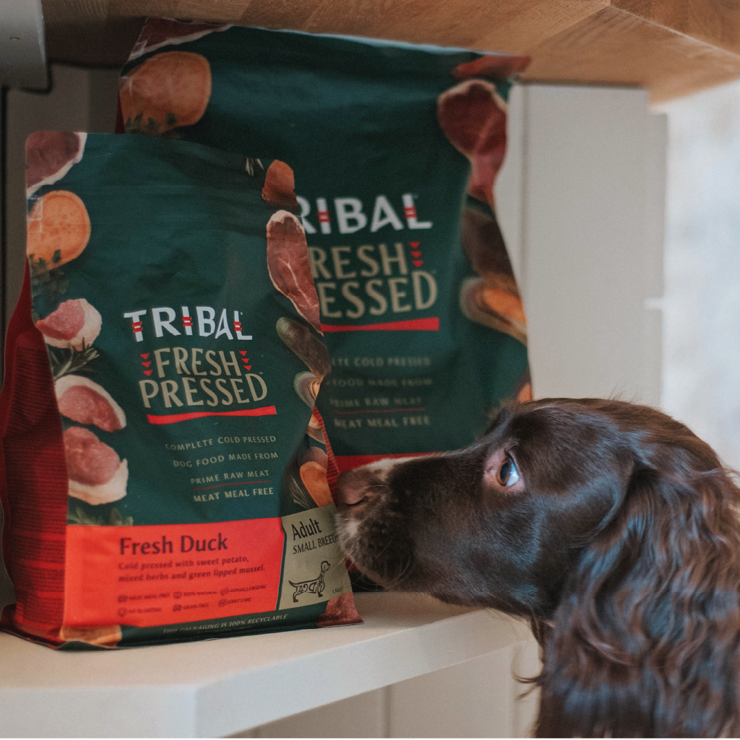 TRIBAL DOG FOOD トライバルドッグフード | コールドプレス製法の